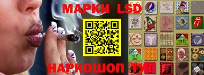 гашик Ставрополь