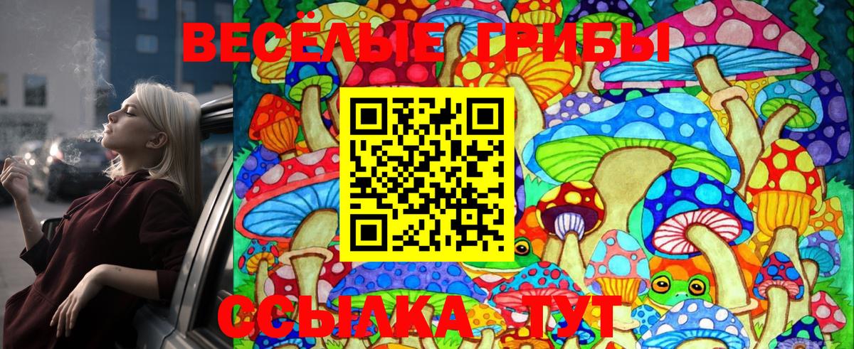 Псилоцибиновые грибы Psilocybe Партизанск