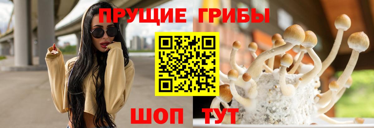 Партизанск  Псилоцибиновые грибы ЛСД  Галлюциногенные грибы ЛСД  Вход с VPN 